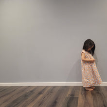 Load image into Gallery viewer, Big Pocket Dress