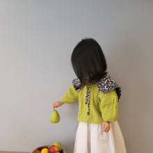 Load image into Gallery viewer, Lauren Shoulder Cape