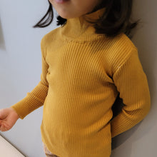 Load image into Gallery viewer, Verona Ribbed Turtleneck