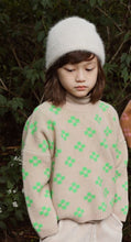 Load image into Gallery viewer, Ela Knit Pullover
